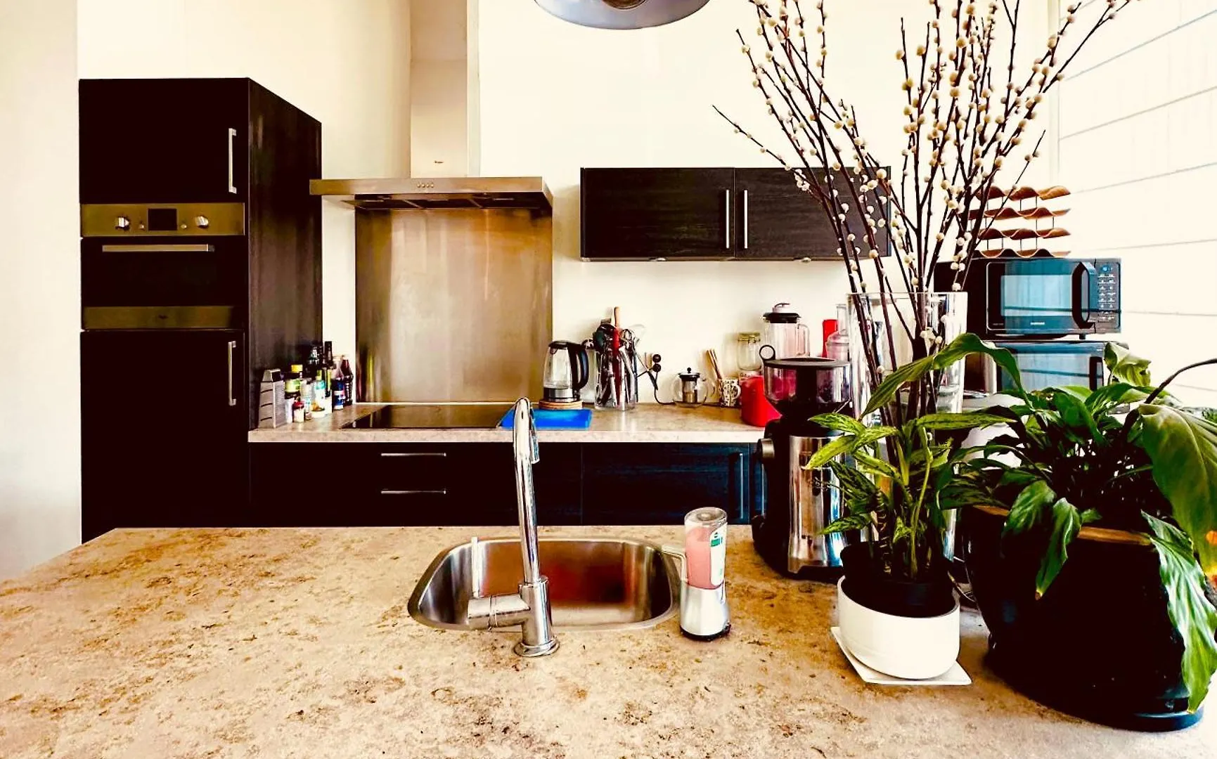 Luxurious Stay With Zen Atmosphere In Zurenborg أنتويرب بلجيكا