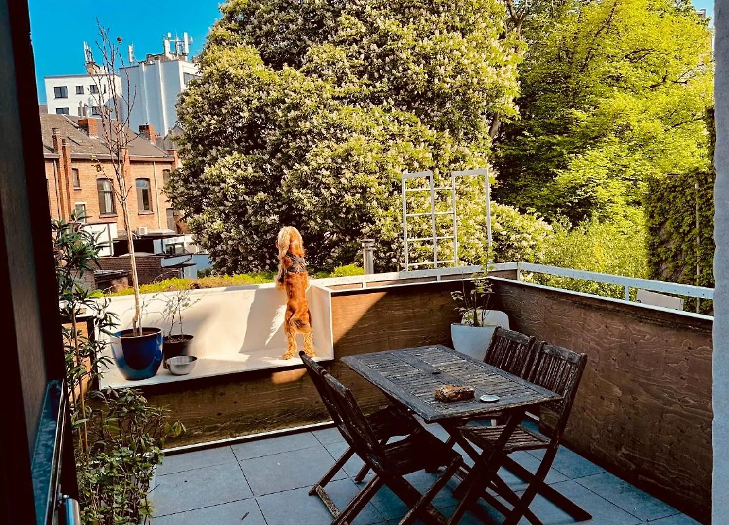 منزل للإقامة Luxurious Stay With Zen Atmosphere In Zurenborg أنتويرب بلجيكا